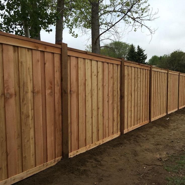 moose luxury painting photo 2