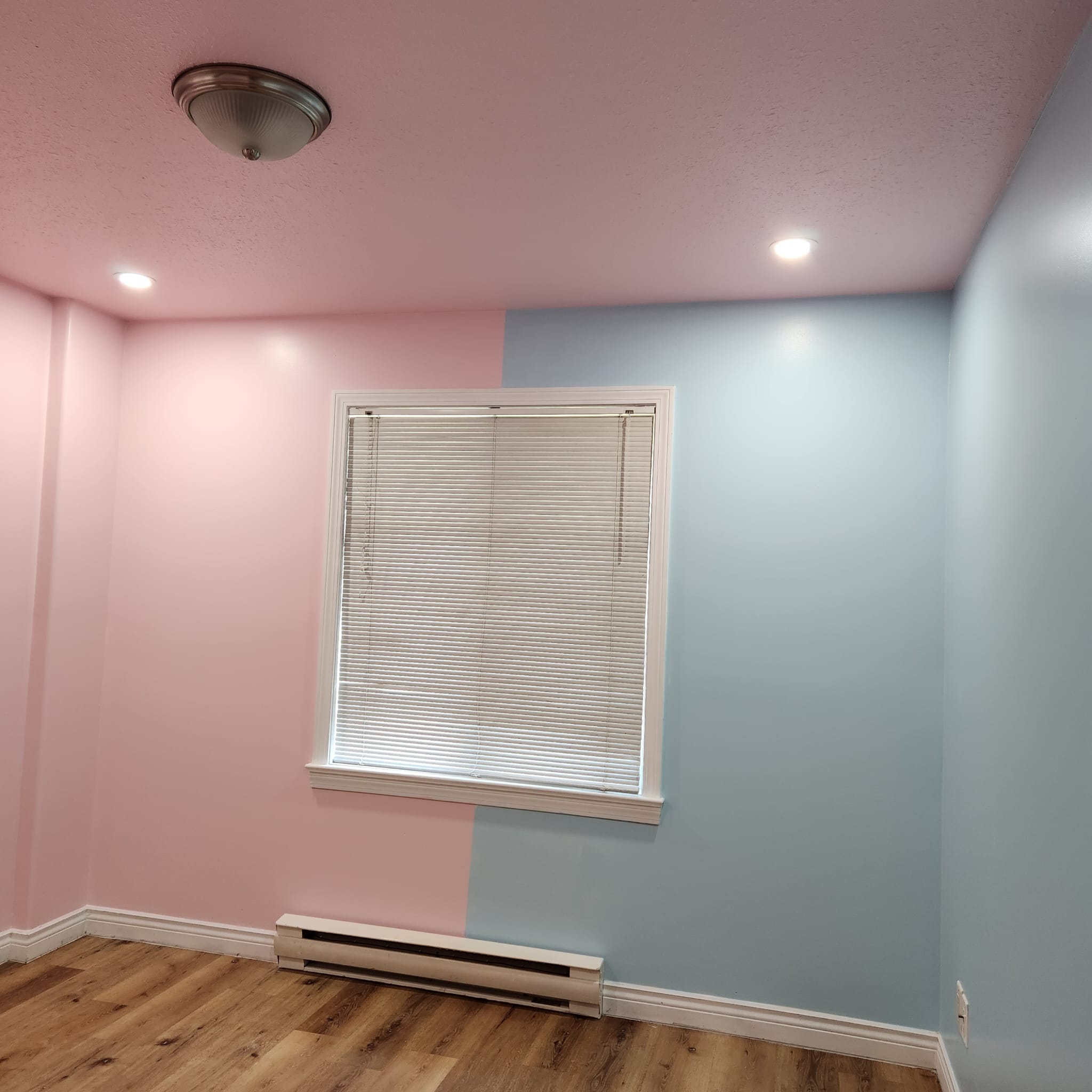Freddy Painters photo 3